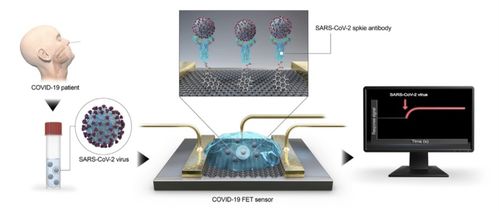 病毒快速檢測和分析 探究基于石墨烯場效應的晶體管生物傳感器的應用