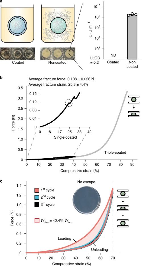 麻省理工學院趙選賀Nature子刊 基于細菌的水凝膠生物容器,可進行連續感測和計算